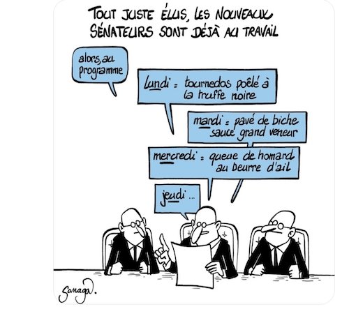 Les sénateurs.jpg