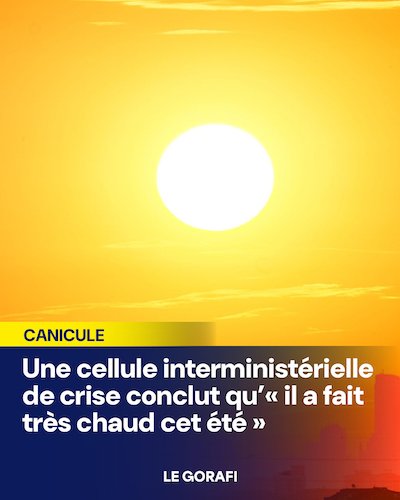 La canicule cet été.jpg