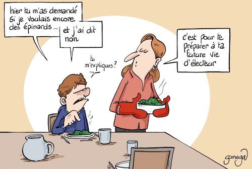 Future vie d'électeur.jpg