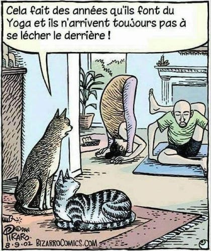 Le yoga.jpg