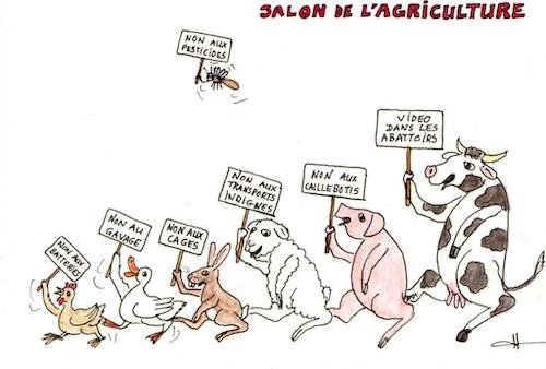 salon de l'agriculture.jpg
