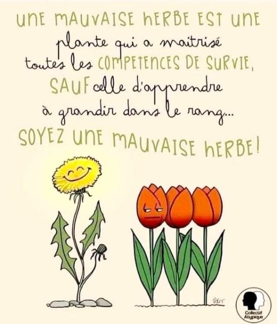 Les mauvaises herbes.jpeg