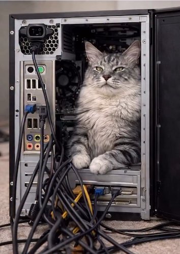 Chat GPT installé dans une tour d'ordinateur.jpg