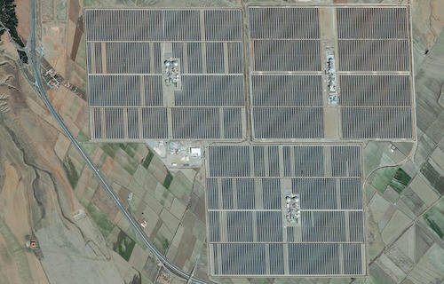 Des milliers d’oliviers abattus en Andalousie pour la production d’énergie solaire.jpeg