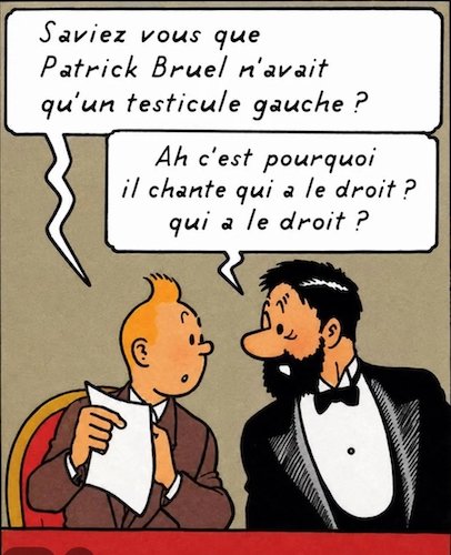 Le testicule.jpg