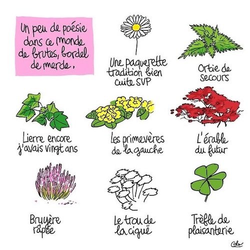 un peu de poésie.jpg