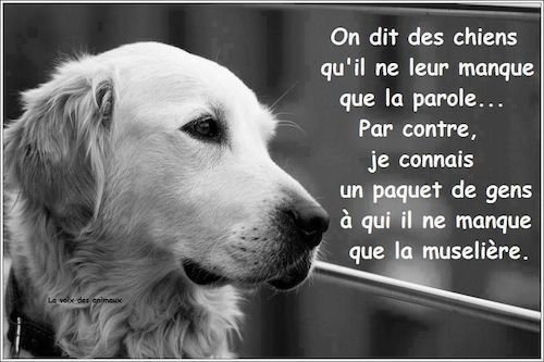 citation de Christophe Jullien.jpg