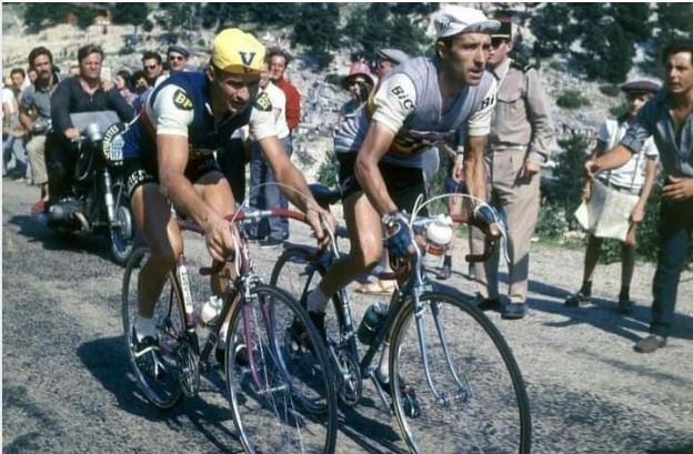 souvenir Deux dauphins du tour de France.JPG