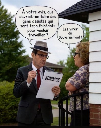 sondage.jpg