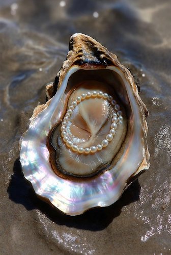 huître d'Arcachon.jpg