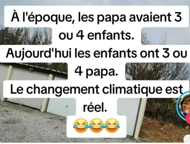 RIOA7.jpg