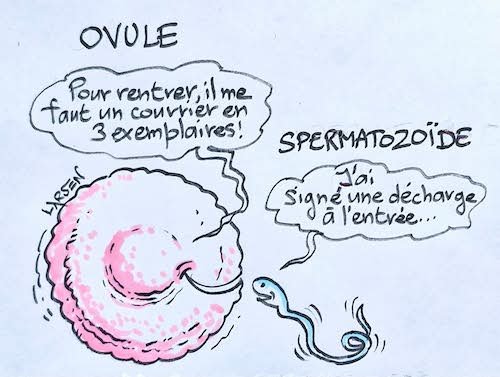 la décharge.jpg
