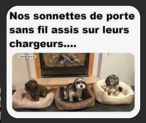les sonnettes.jpg