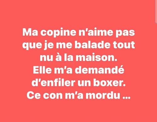 le boxer.jpg