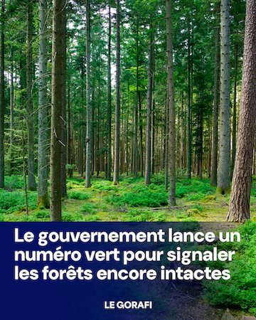 le numéro vert.jpg