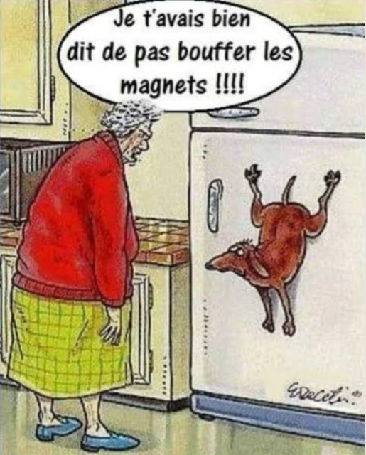 RIONS Ze4.jpg