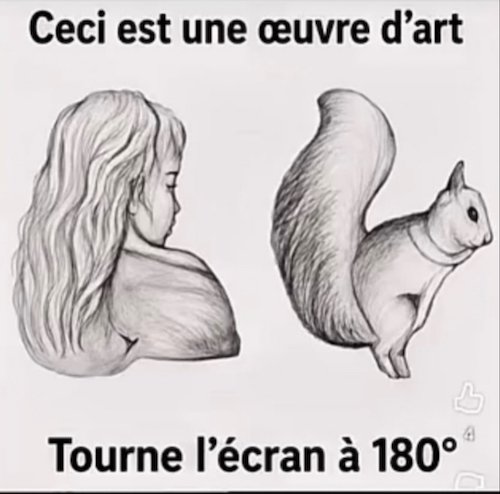 Œuvre d'art.jpg