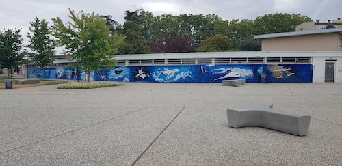 évolution de l'aviation.jpg