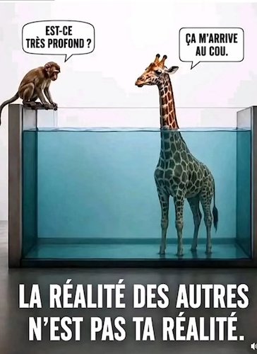 La réalité.jpg