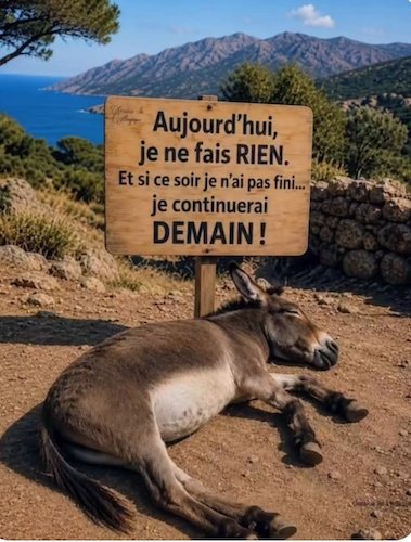 L'âne du Père Martin.jpg