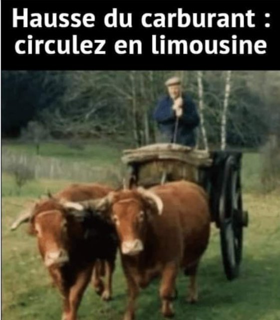 RIONS AL.jpg