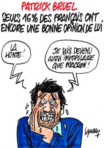 Bruel.jpg