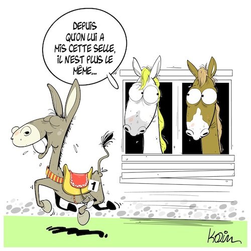 on ne saurait faire d'un âne un cheval de course.jpeg