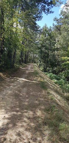 08 le chemin de la Rigole.jpg
