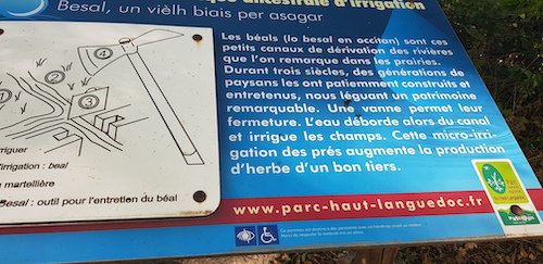 26 les beals.jpg