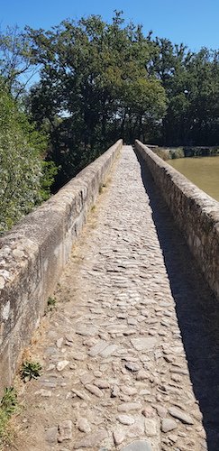 57 Paris Roubaix de face.jpg