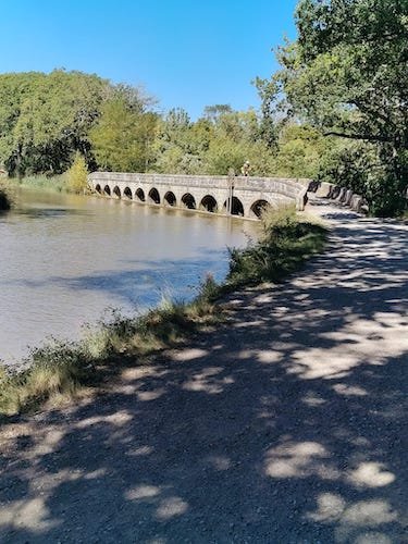 58 Paris Roubaix de profil.jpg.jpg