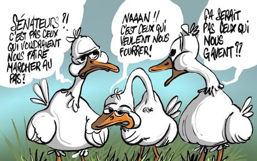 Les sénateurs.jpg