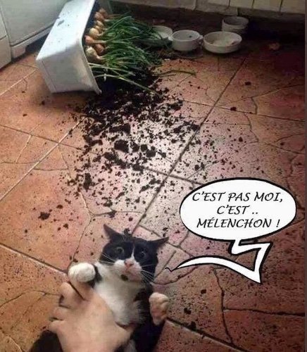 C'est pas moi c'est Mélenchon.jpg