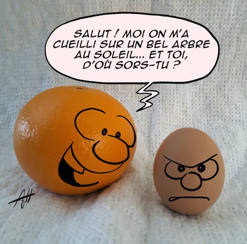 l'orange et l'oeuf.jpeg