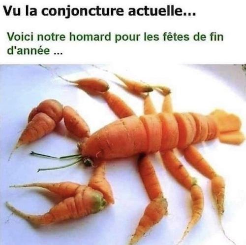 Homard pour végétarien.jpeg