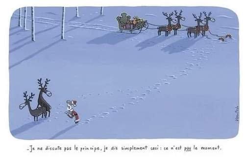 Les rennes du Père Noël.jpeg