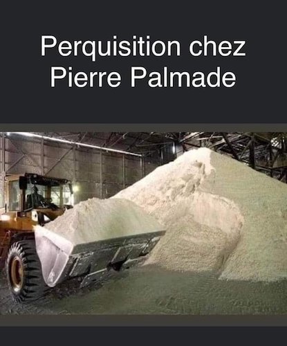 Perquisition chez Pierre Palmade.jpeg