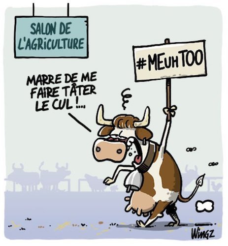 Salon de l'agriculture.jpeg