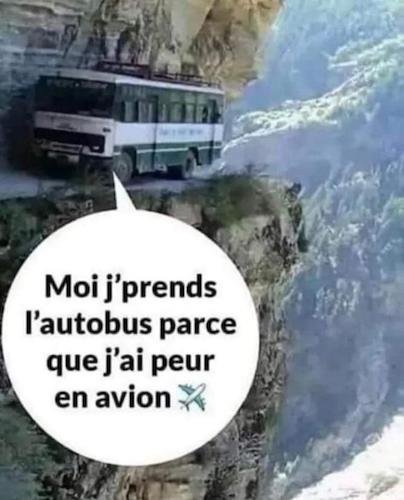 L'avion ou le bus.jpeg