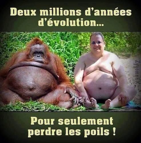 l'évolution.jpeg