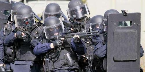 Les 8 gendarmes du GIGN.jpeg