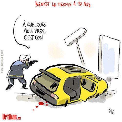 le permis à 17 ans.jpeg