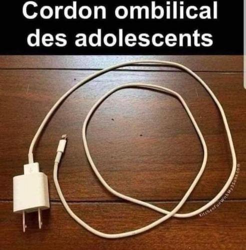 cordon ombilical (envoyé par Gaby).jpeg