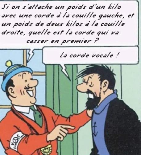 La corde vocale.jpeg