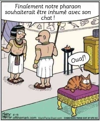 Vie de chat en Egypte ancienne.jpeg