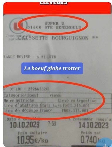 boeuf globe trotter.jpeg