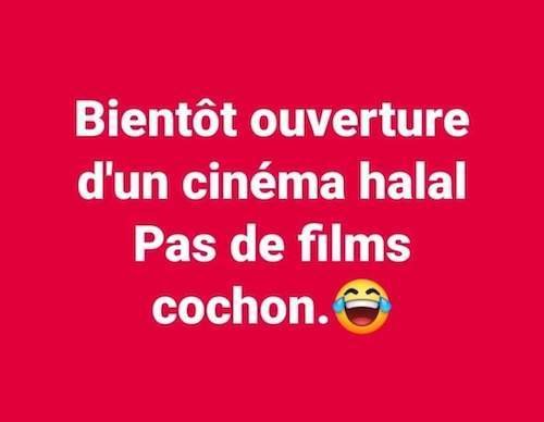 cinéma halal.jpeg