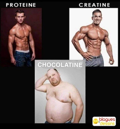 chocolatine.jpeg