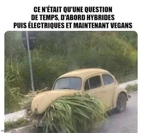 voiture vegan.jpeg