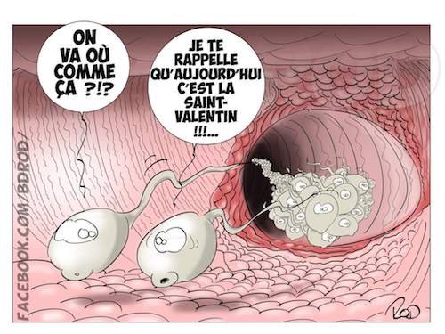 La Saint Valentin.jpeg